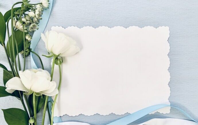 水色と白の背景に白い花の画像