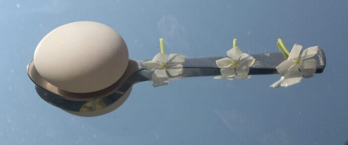 画像：スプーンの上に載せられた卵