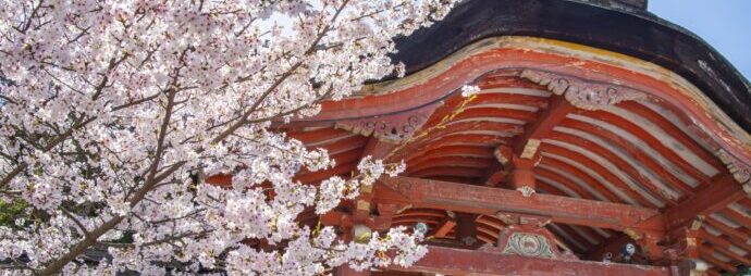 画像：桜と赤い門