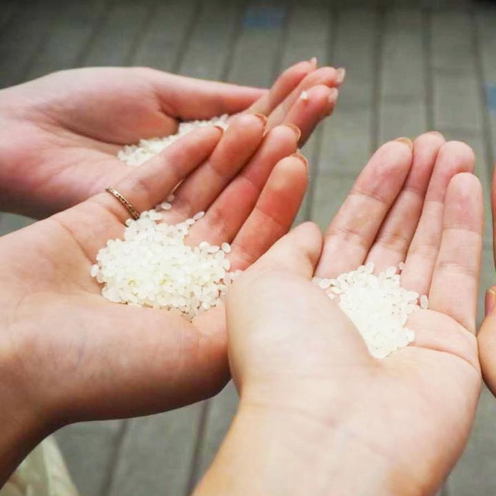 ライスシャワーとは｜演出の意味や由来、手作り方法
