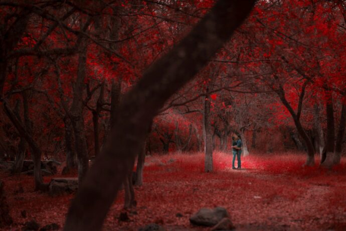 画像：真っ赤に紅葉した森の中で抱き合う男女