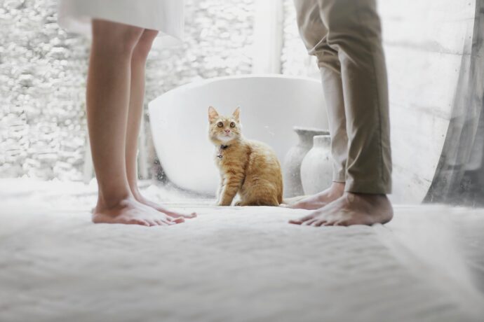 画像：対立する男女の足元にいる猫