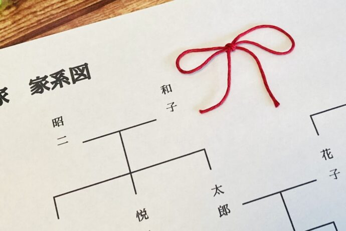画像：家系図に置かれた赤い紐のリボン