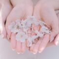 春の結婚式におすすめ！ 桜ウエディングの演出方法