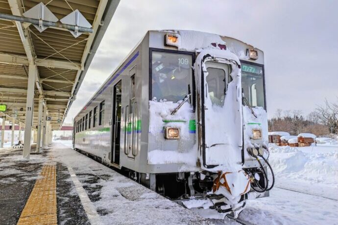 画像：雪にまみれた電車