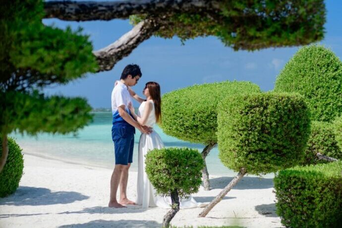 画像：松の木の下にいる白い砂浜に立った花嫁と花婿