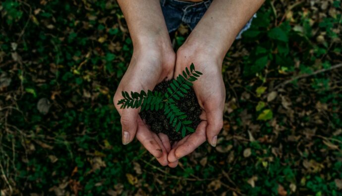 画像：植物を植えるところ