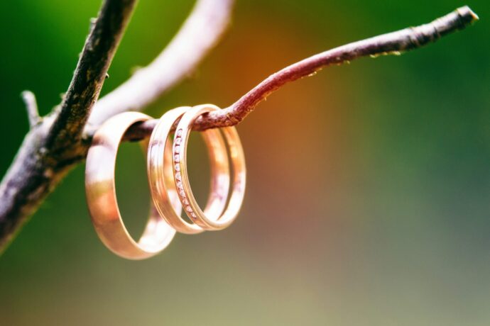 画像：婚約指輪と2本の結婚指輪が枝にかかっている