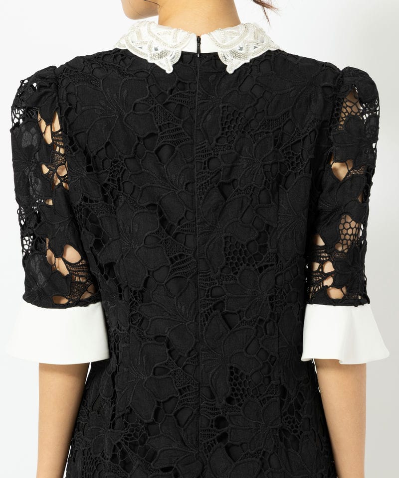 画像:お呼ばれドレスのバックアップ