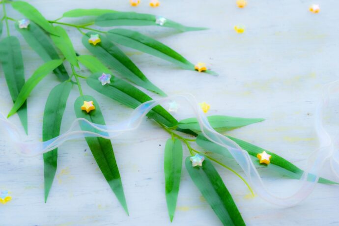 画像：笹の葉と星飾り