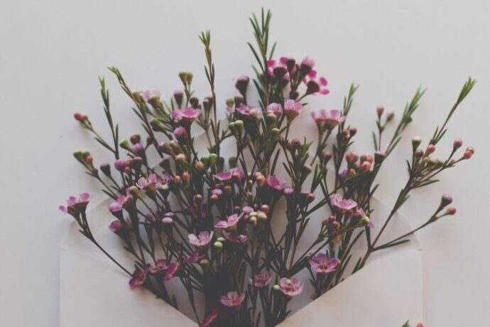 画像：封筒に入れられた花